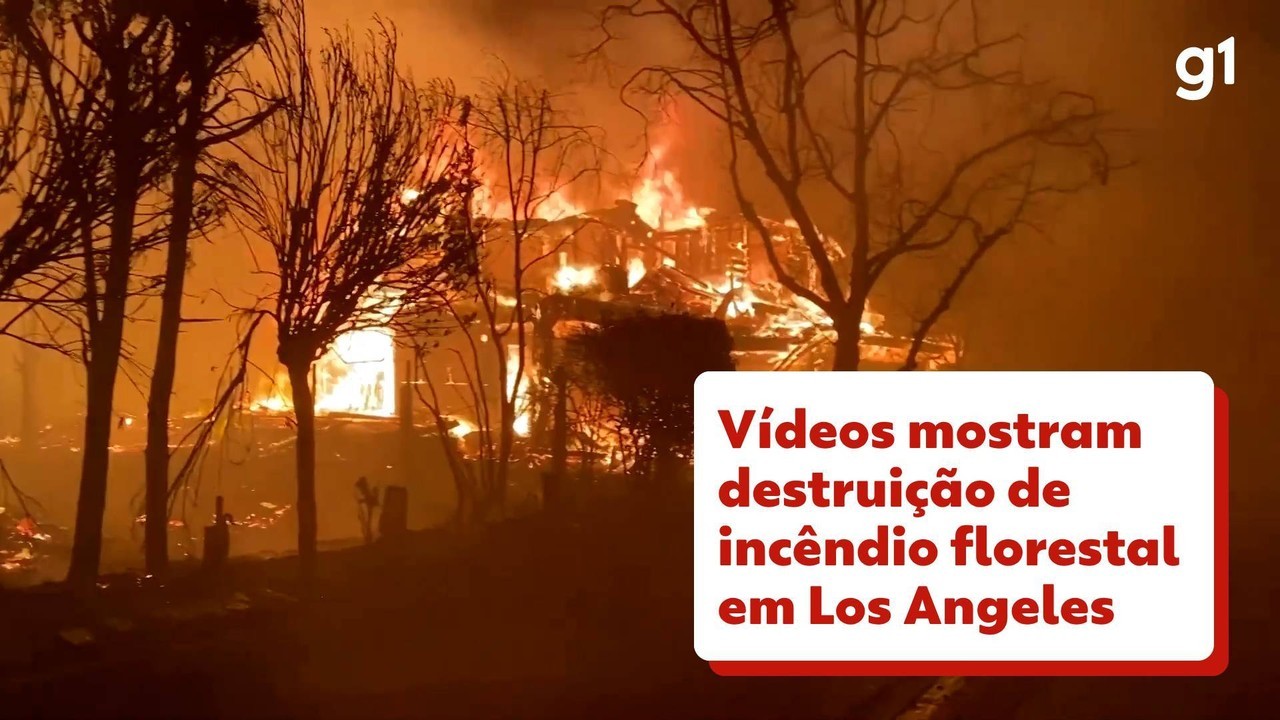 Aviões-tanque, caminhões e bombeiros: como Los Angeles está combatendo o pior incêndio da sua história